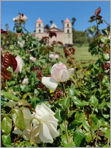 IMG_20210719_111342_Bokeh - Copy